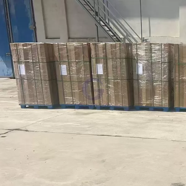 Polyester Sludge Dewatering Mesh Belt