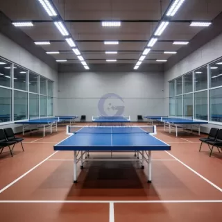Table Tennis Sports Flooring