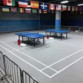 Table Tennis Sports Flooring