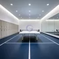 Table Tennis Sports Flooring