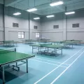 Table Tennis Sports Flooring
