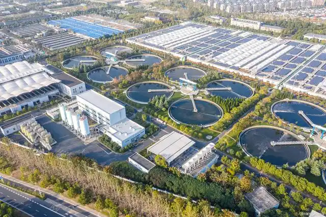 Polyester Sludge Dewatering Mesh Belt