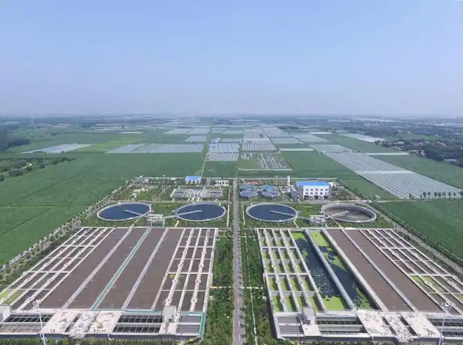 Polyester Sludge Dewatering Mesh Belt