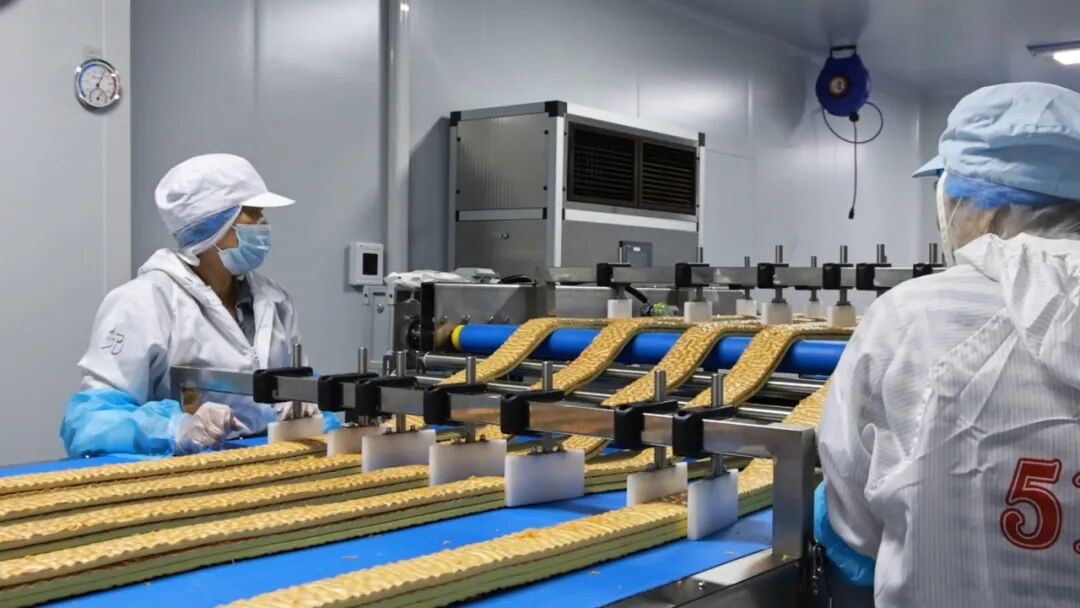 Polyester Spiral Mesh Press Belts