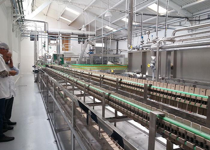 Polyester Sludge Dewatering Mesh Belt