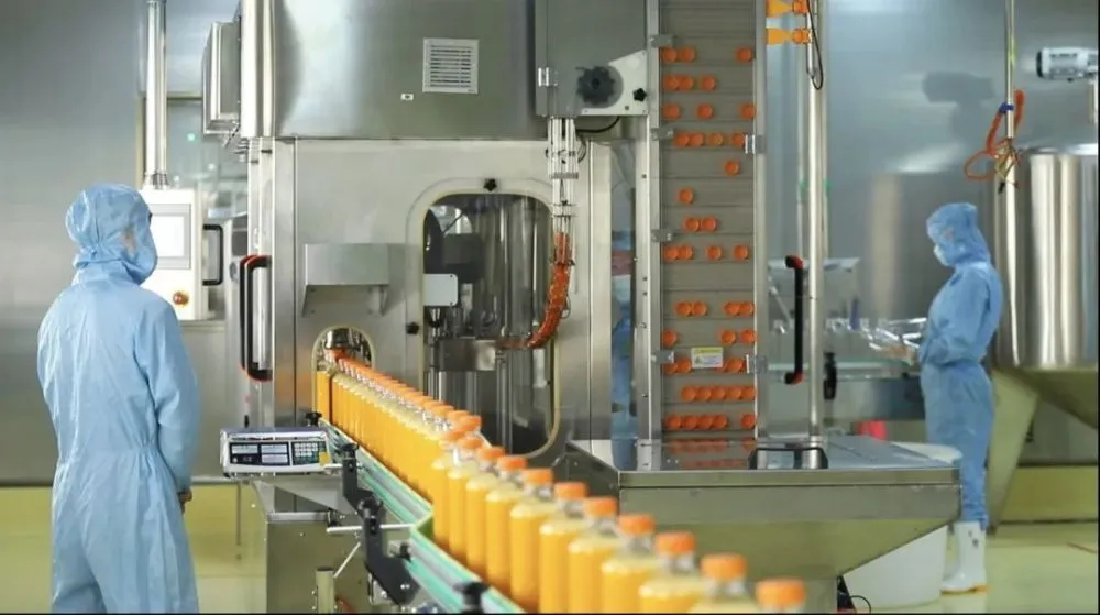 Polyester Sludge Dewatering Mesh Belt