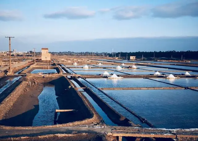 Polyester Sludge Dewatering Mesh Belt