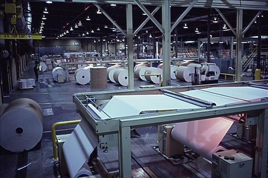 Polyester Sludge Dewatering Mesh Belt