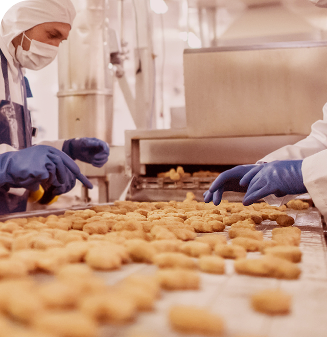 Polyester Spiral Press Belts