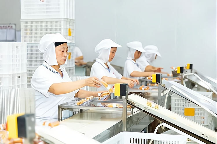 Polyester Spiral Press Belts