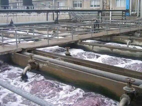 Polyester Sludge Dewatering Mesh Belt