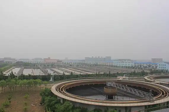 Polyester Sludge Dewatering Mesh Belt