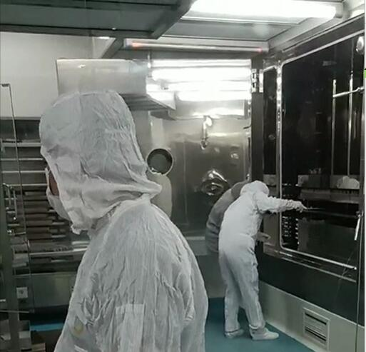 Polyester Sludge Dewatering Mesh Belts