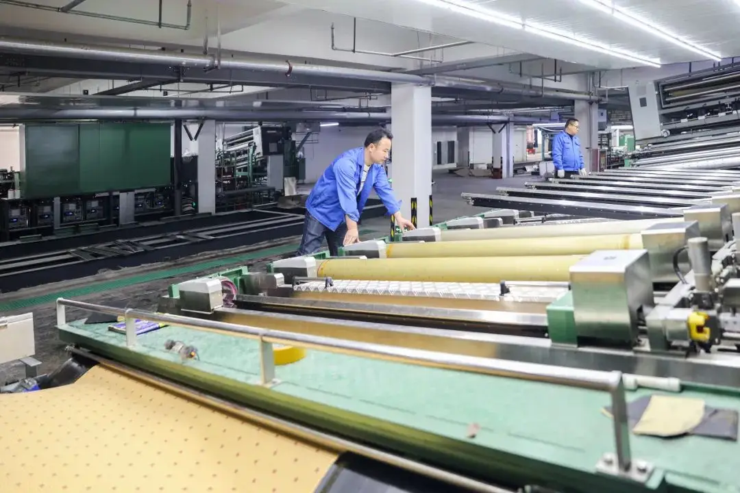 Polyester Sludge Dewatering Mesh Belt