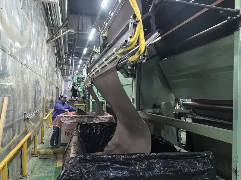 Polyester Sludge Dewatering Mesh Belt