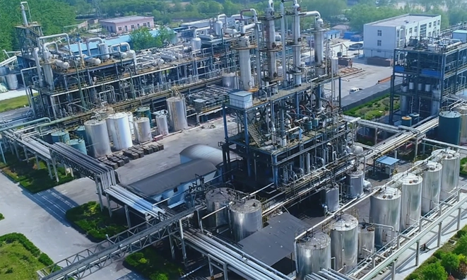 Polyester Spiral Press Belts