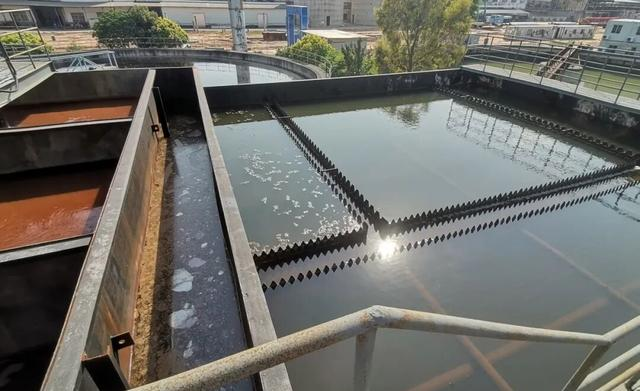 Polyester Sludge Dewatering Mesh Belts