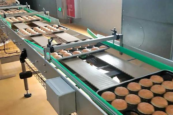 Polyester Spiral Press Belts