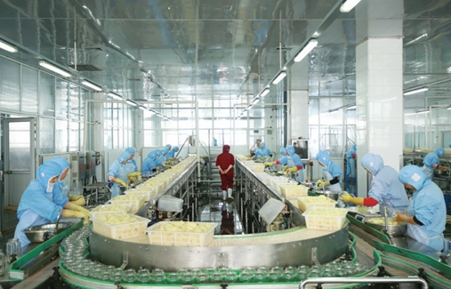 Polyester Spiral Press Belts