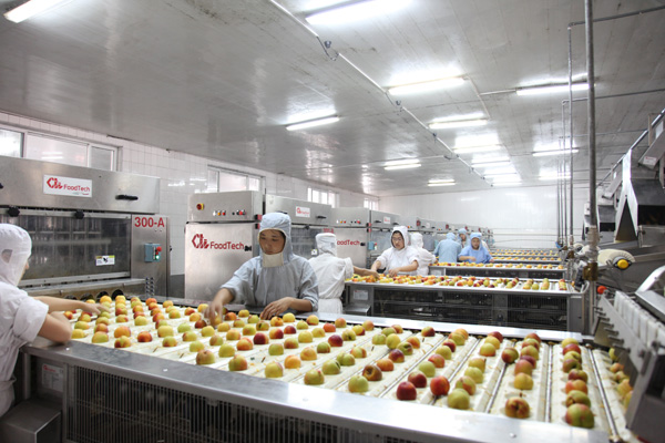 Polyester Spiral Press Belts