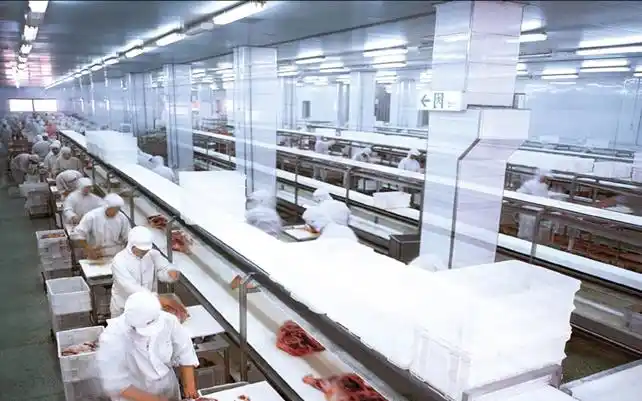 Polyester Spiral Press Belts